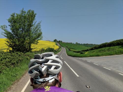 view from a tandem....courtesy jonathan and emma dixon